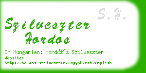 szilveszter hordos business card